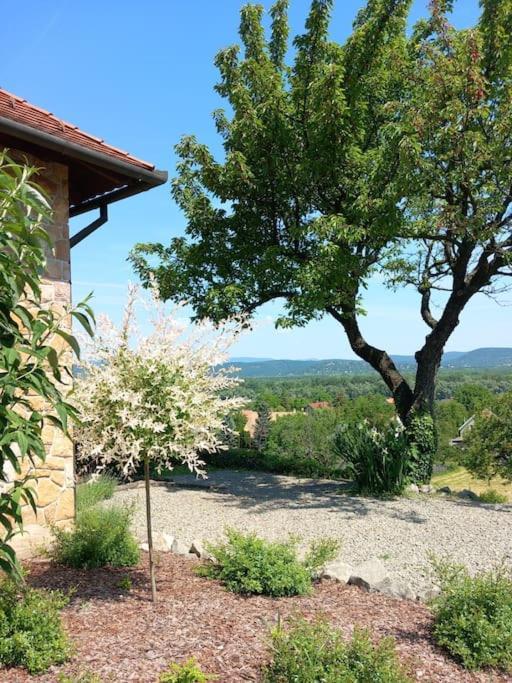 Donauresidenz Apartment Dunabogdany Luaran gambar